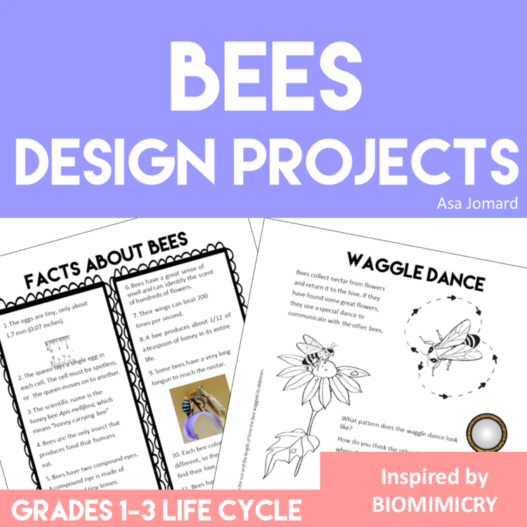 Inspiring Bee Life Cycle Activities | Unique  Biomimicry Design Thinking Project