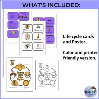 Inspiring Bee Life Cycle Activities | Unique  Biomimicry Design Thinking Project, image 3
