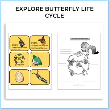 Explore the Butterfly Life Cycle | Engaging Biomimicry Design Thinking Projects, image 2