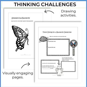 Explore the Butterfly Life Cycle | Engaging Biomimicry Design Thinking Projects, image 3