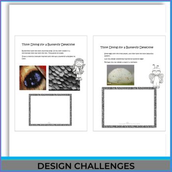 Explore the Butterfly Life Cycle | Engaging Biomimicry Design Thinking Projects, image 4