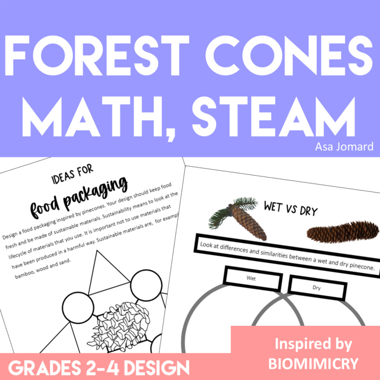 Unique Forest Cones Activities | Inspiring Biomimicry Thinking  Challenges