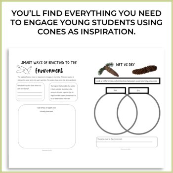 Unique Forest Cones Activities | Inspiring Biomimicry Thinking  Challenges, image 2