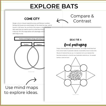 Unique Forest Cones Activities | Inspiring Biomimicry Thinking  Challenges, image 3