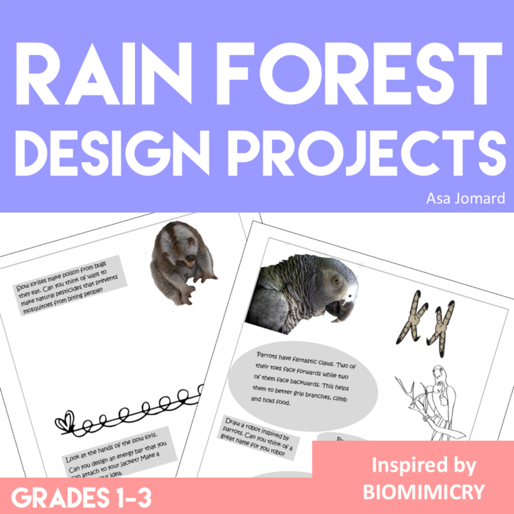Unique Rainforest Activities with Inspiring Biomimicry Design Challenges