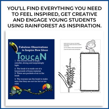 Unique Rainforest Activities with Inspiring Biomimicry Design Challenges, image 2