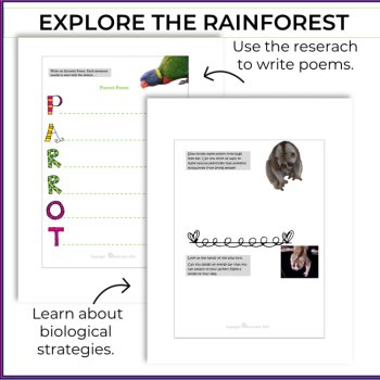 Unique Rainforest Activities with Inspiring Biomimicry Design Challenges, image 3