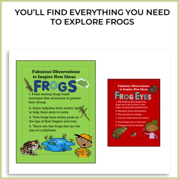 Unique Frog Activities | Engaging Biomimicry Adventures, image 2