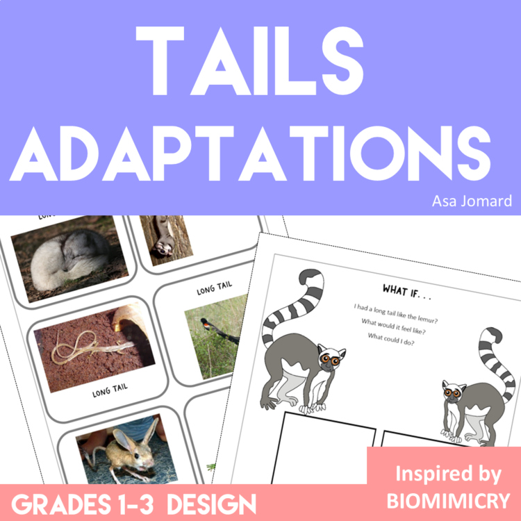 Unique Animal Tails Activities | Montessori-Inspired Project with Biomimicry