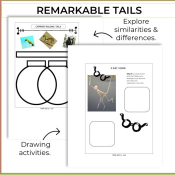 Unique Animal Tails Activities | Montessori-Inspired Project with Biomimicry, image 3
