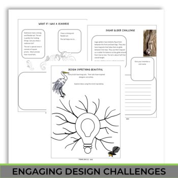 Unique Animal Tails Activities | Montessori-Inspired Project with Biomimicry, image 4