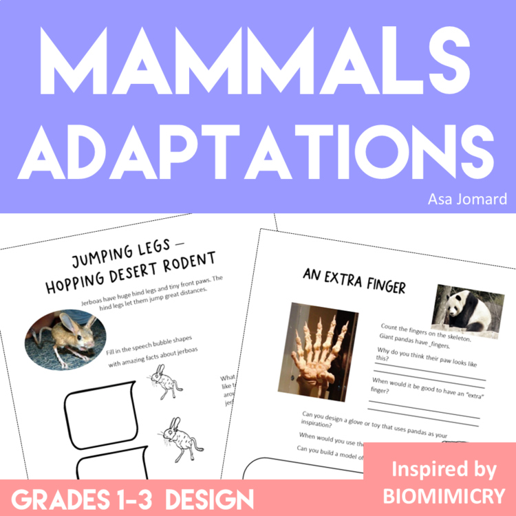 Engaging Animal Adaptations Activities | Biomimicry Design Adventures