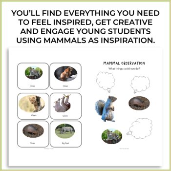 Engaging Animal Adaptations Activities | Biomimicry Design Adventures, image 2