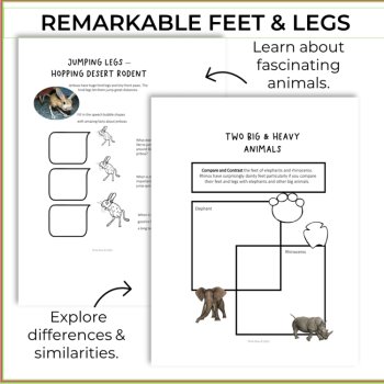 Engaging Animal Adaptations Activities | Biomimicry Design Adventures, image 3