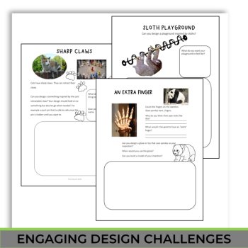 Engaging Animal Adaptations Activities | Biomimicry Design Adventures, image 4