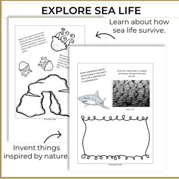 Engaging Sea Life Activities | Inspiring Creative Biomimicry Design Thinking, image 3