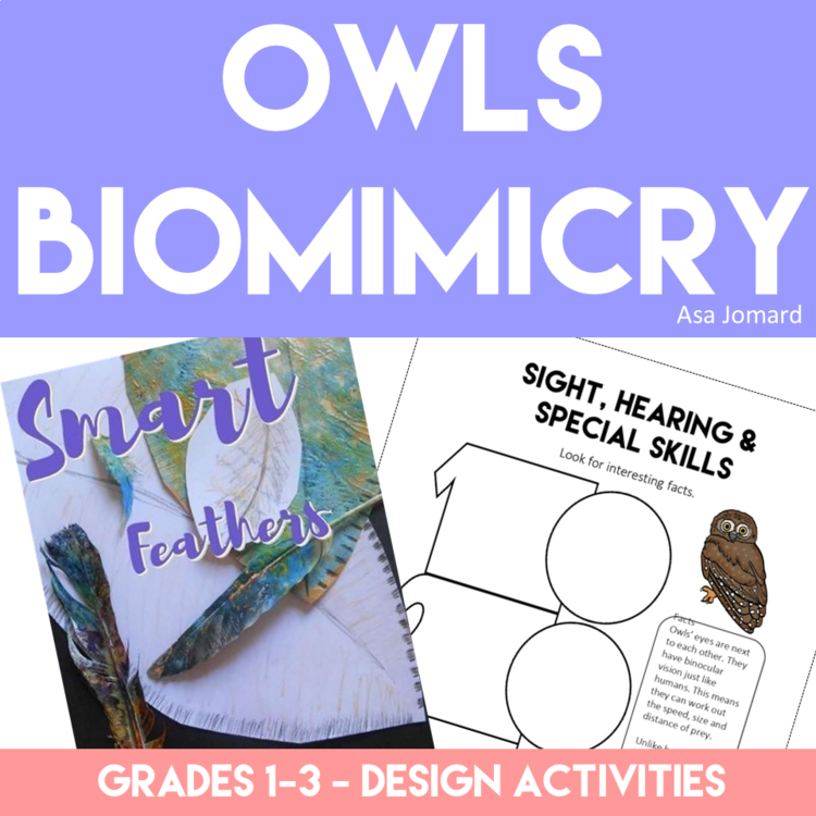 Engaging Owl Project | Explore Biomimicry Design Activities for STEAM Learning