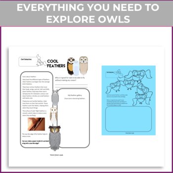Engaging Owl Project | Explore Biomimicry Design Activities for STEAM Learning, image 2