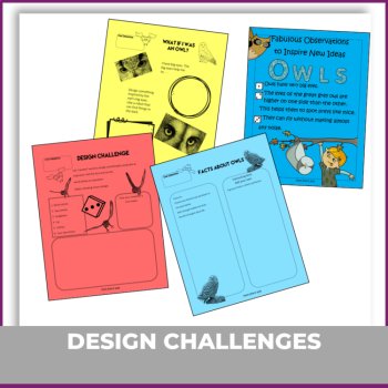 Engaging Owl Project | Explore Biomimicry Design Activities for STEAM Learning, image 4