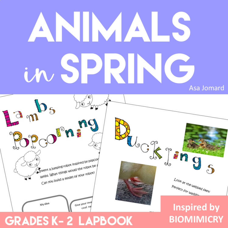 Discover Spring Animals | Biomimicry Design Activities with a Creative Lapbook