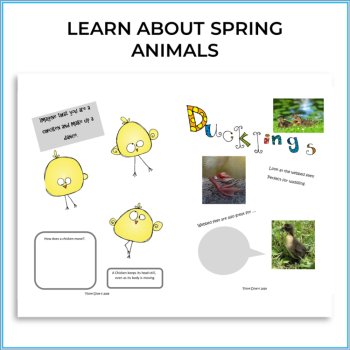 Discover Spring Animals | Biomimicry Design Activities with a Creative Lapbook, image 2