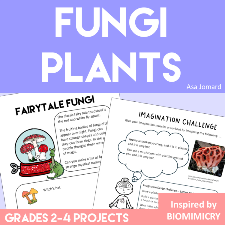 Inspiring Plants and Fungi Activities | Unique Biomimicry Adventures
