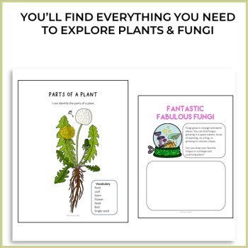 Inspiring Plants and Fungi Activities | Unique Biomimicry Adventures, image 2