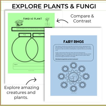 Inspiring Plants and Fungi Activities | Unique Biomimicry Adventures, image 3