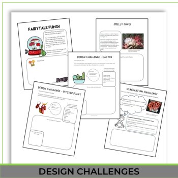 Inspiring Plants and Fungi Activities | Unique Biomimicry Adventures, image 4