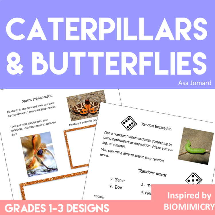 Engaging Caterpillars  and Butterflies Activities | Unique Biomimicry Adventures