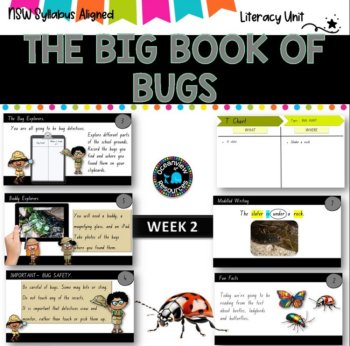 VS 1 2022 THE BIG BOOK OF BUGS -NSW S1 Unit 6 - component B WEEK 2 English, image 3