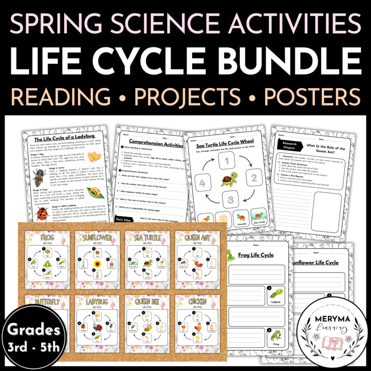 Life Cycle Activities | Spring Science Reading Comprehension Posters & Projects