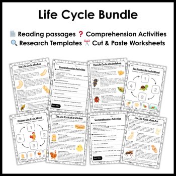 Life Cycle Activities | Spring Science Reading Comprehension Posters & Projects, image 2