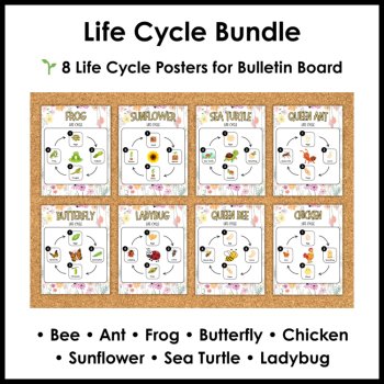 Life Cycle Activities | Spring Science Reading Comprehension Posters & Projects, image 3