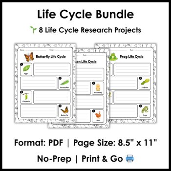 Life Cycle Activities | Spring Science Reading Comprehension Posters & Projects, image 4