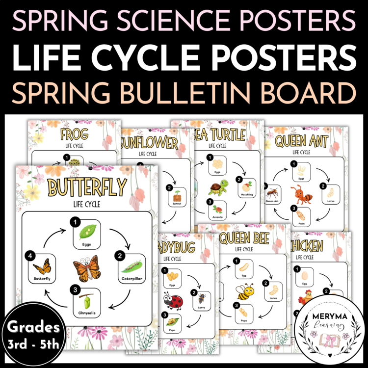 Life Cycle Posters for Bulletin Board | Spring Science Bulletin Board