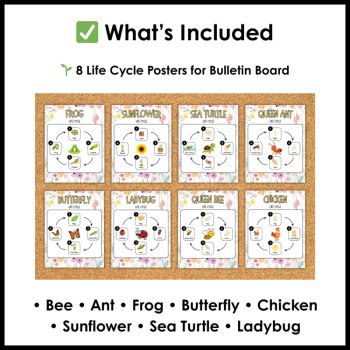 Life Cycle Posters for Bulletin Board | Spring Science Bulletin Board, image 2