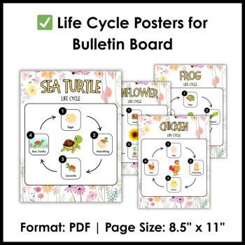 Life Cycle Posters for Bulletin Board | Spring Science Bulletin Board, image 3