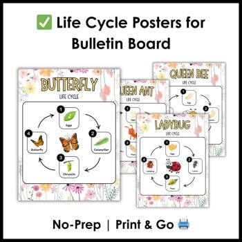 Life Cycle Posters for Bulletin Board | Spring Science Bulletin Board, image 4