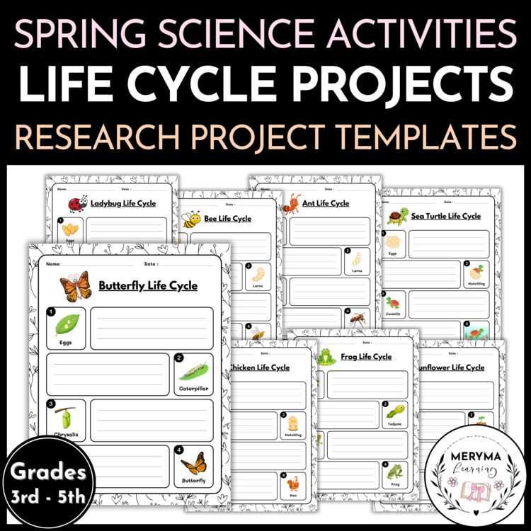 Life Cycle Research Project Templates | Spring Science Activities