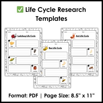 Life Cycle Research Project Templates | Spring Science Activities, image 3