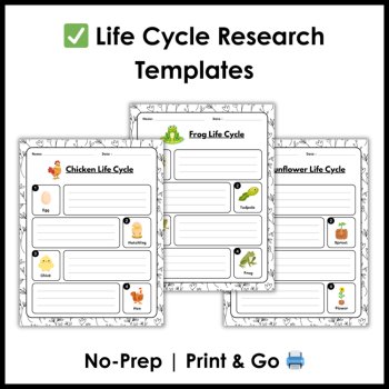 Life Cycle Research Project Templates | Spring Science Activities, image 4