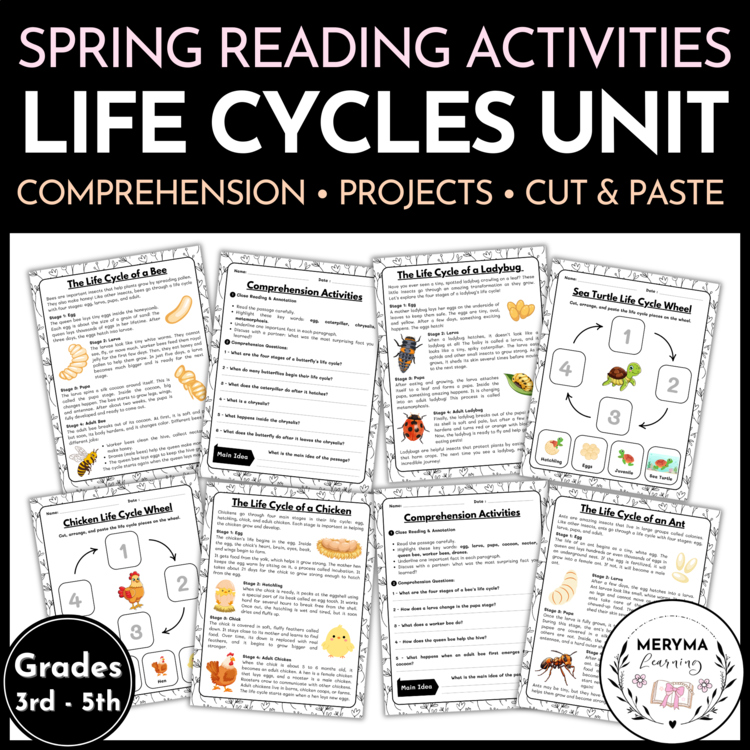 Spring Science Reading Comprehension Activities | Life Cycle of a Bee Ant & More