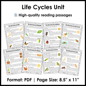 Spring Science Reading Comprehension Activities | Life Cycle of a Bee Ant & More, image 2