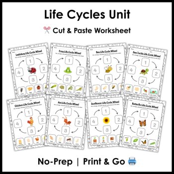 Spring Science Reading Comprehension Activities | Life Cycle of a Bee Ant & More, image 4
