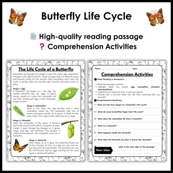 Butterfly Life Cycle Reading Comprehension Activities | Cut and Paste Worksheet, image 2