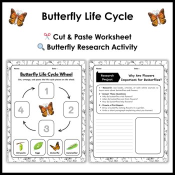 Butterfly Life Cycle Reading Comprehension Activities | Cut and Paste Worksheet, image 3