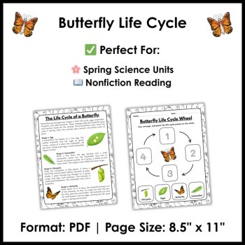 Butterfly Life Cycle Reading Comprehension Activities | Cut and Paste Worksheet, image 4