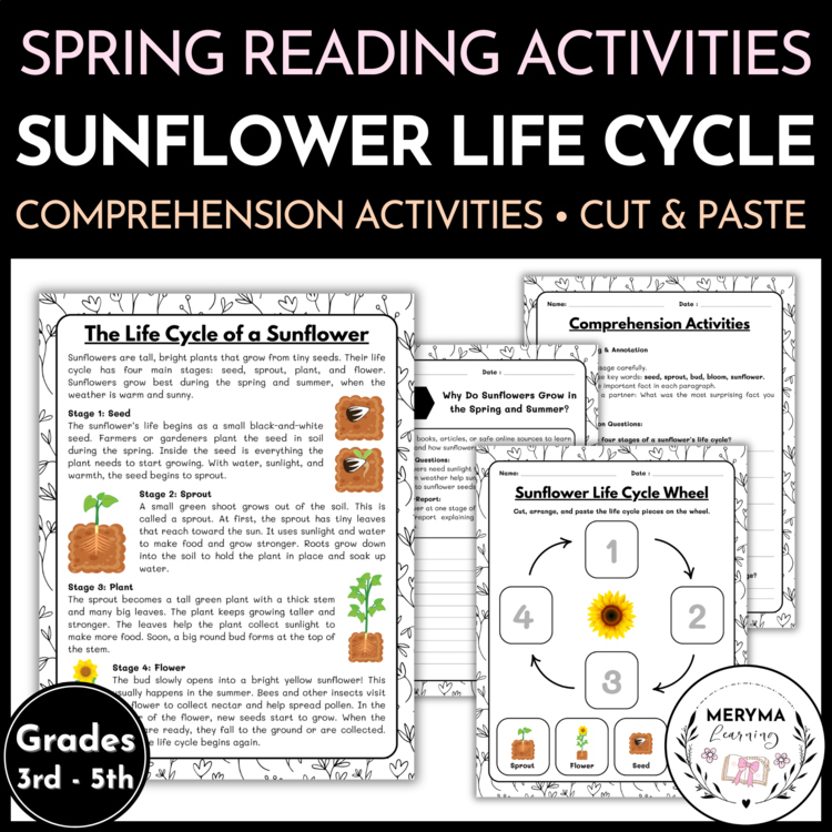 Sunflower Life Cycle Reading Comprehension Activities | Cut and Paste Worksheet