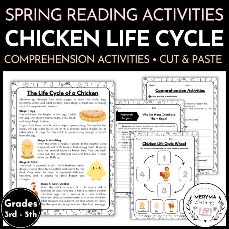 Chicken Life Cycle Reading Comprehension Activities | Cut and Paste Worksheet